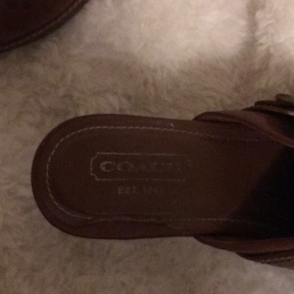 Coach mule heals - Picture 3 of 4